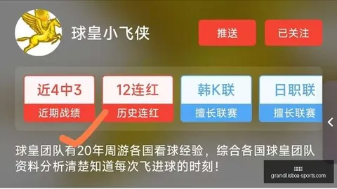 2026最新： 伦敦赛场强势击败，全面解析
